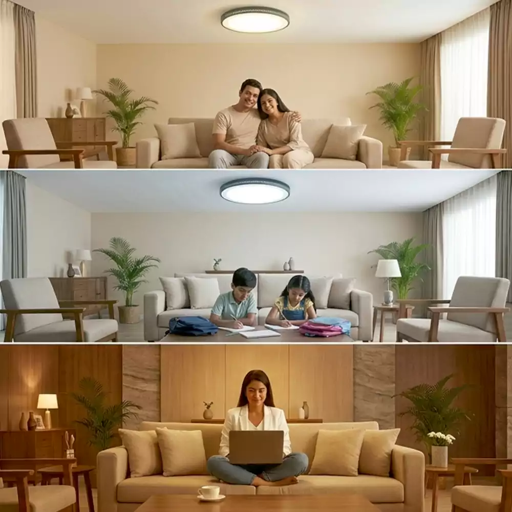 The Moss Disc Ceiling Mounted light
